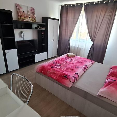 Apartament Garsoniera 30Mp Chrysflatty1 - Free Netflix Arad Zewnętrze zdjęcie