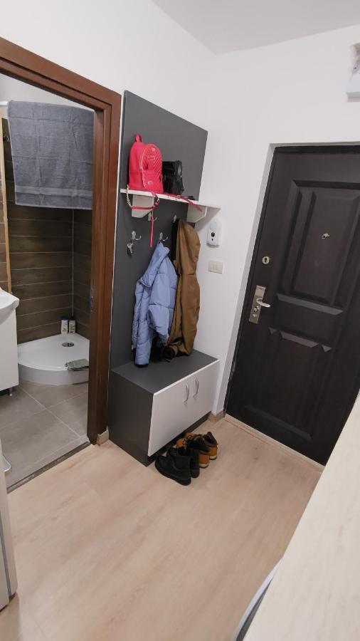 Apartament Garsoniera 30Mp Chrysflatty1 - Free Netflix Arad Zewnętrze zdjęcie