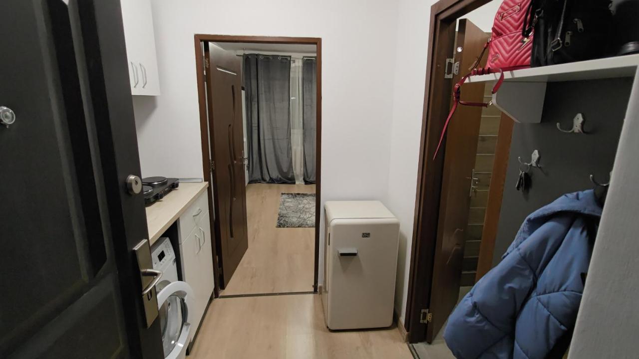 Apartament Garsoniera 30Mp Chrysflatty1 - Free Netflix Arad Zewnętrze zdjęcie