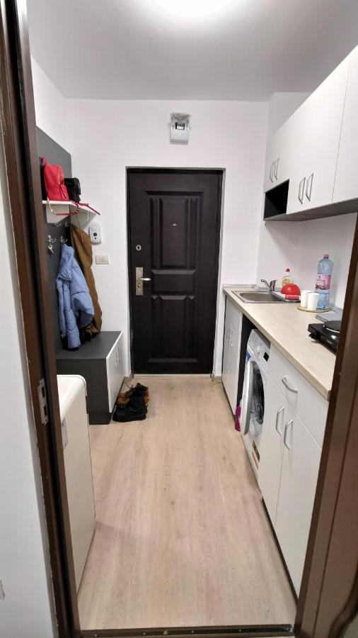 Apartament Garsoniera 30Mp Chrysflatty1 - Free Netflix Arad Zewnętrze zdjęcie