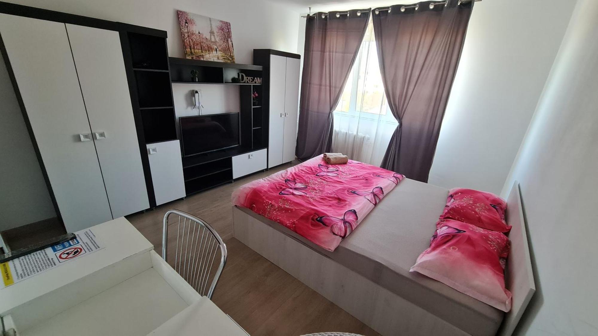 Apartament Garsoniera 30Mp Chrysflatty1 - Free Netflix Arad Zewnętrze zdjęcie